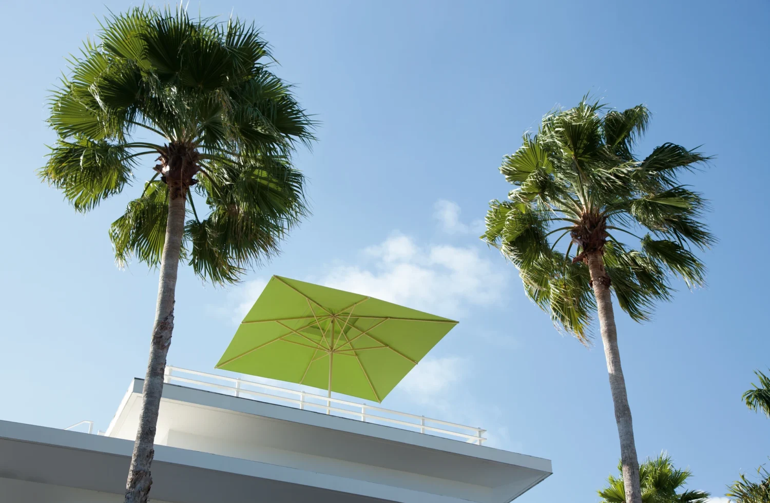 Großer eckiger Sonnenschirm auf Dachterrasse mit großen Palmen